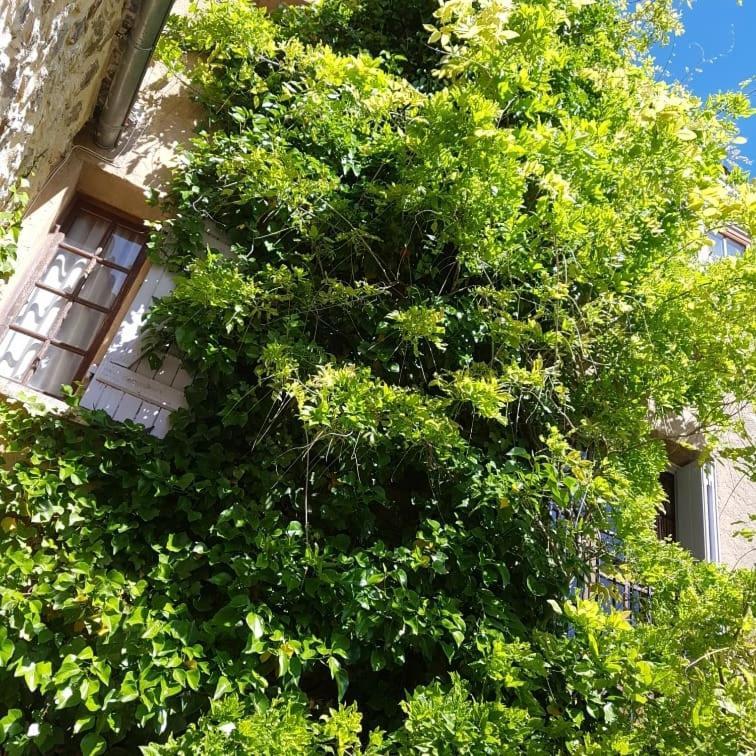 Camps-sur-l'Agly Le Balcon 아파트 외부 사진