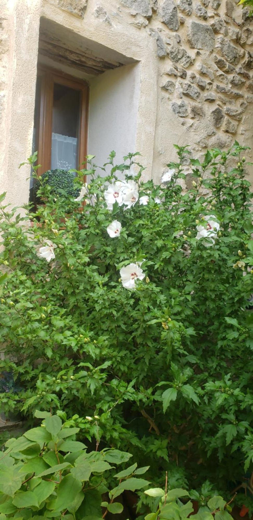 Camps-sur-l'Agly Le Balcon 아파트 외부 사진